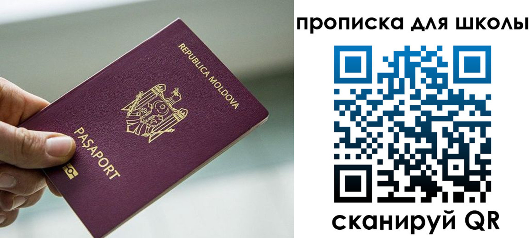 прописка в квартире в Озёрах